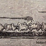 Circa 1340 cooks
