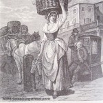 1790s strawberries