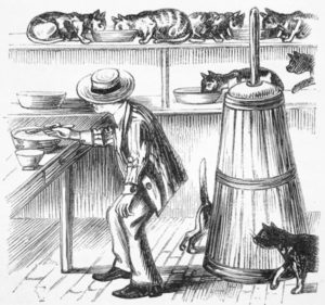 how to buy a butter churn - man looking at churn choices in store that has many cats.