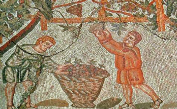 Farmer's picking grapes in Ancient Rome.
