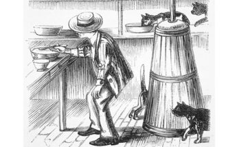 how to buy a butter churn - man looking at churn choices in store that has many cats.