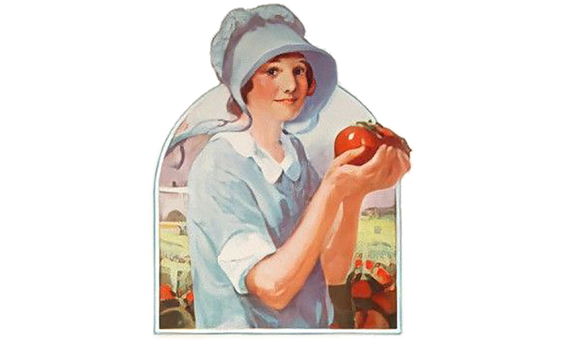 girl holding tomatoes in her hand, standing in a tomato garden.