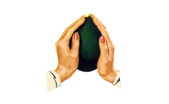 holding a large avocado.