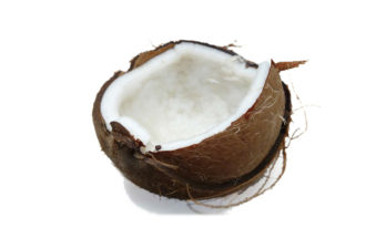 a coconut cut in half, whtie the white coconut meat exposed.